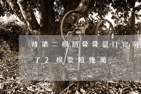 背第二根肋骨骨裂打官司能賠償嗎(肋骨撞斷了2根要賠幾萬)