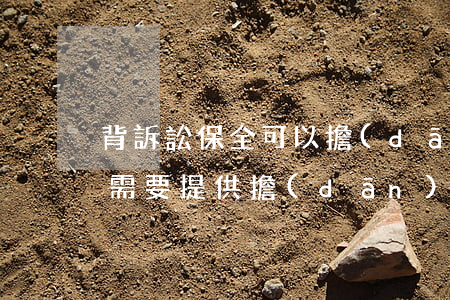 背訴訟保全可以擔(dān)保嗎(訴訟保全需要提供擔(dān)保嗎)