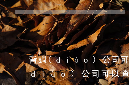 背調(diào)公司可以查違法嗎(背調(diào)公司可以查違法嗎)