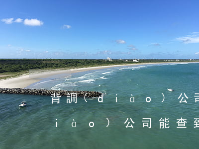 背調(diào)公司能查逾期嗎 背調(diào)公司能查到違法記錄嗎