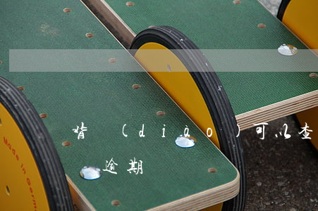 背調(diào)可以查到網(wǎng)貸逾期嗎