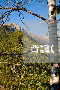 背調(diào)是什么意思