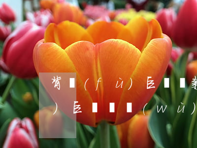 背負(fù)巨額貸款無力償還(背負(fù)巨額債務(wù)后我的出路)