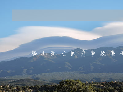 胎儿死亡医疗事故案例
