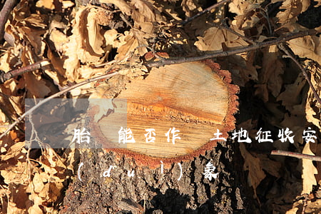 胎兒能否作為土地征收安置補(bǔ)償對(duì)象