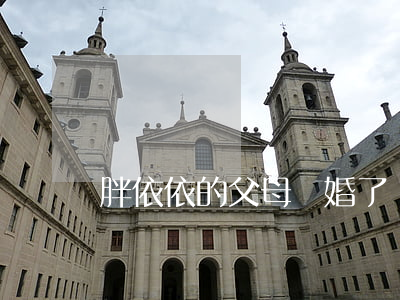胖依依的父母離婚了嗎(依依媽媽離婚了嗎)