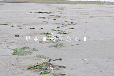 胖到離婚了怎么辦