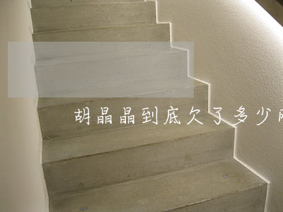 胡晶晶到底欠了多少网贷