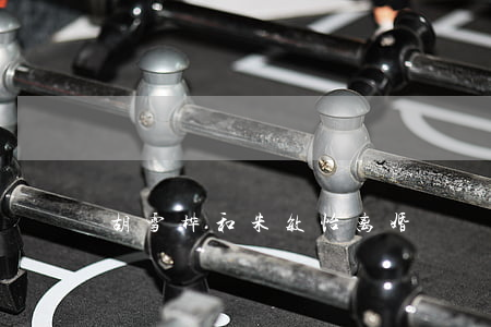 胡雪桦和朱敏怡离婚
