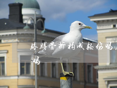 胳膊骨折构成轻伤吗法律(骨折可以构成轻伤吗)