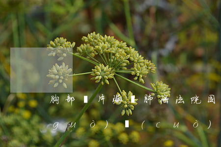 胸部攝片漏診肺癌，法院因醫(yī)療過(guò)錯(cuò)為由判決賠償15萬(wàn)元