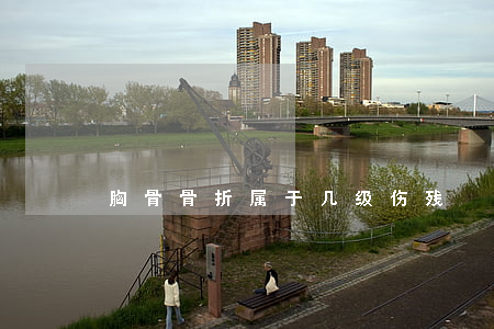 胸骨骨折属于几级伤残