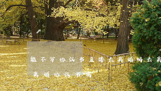 能不写协议书直接去离婚吗(去离婚可以不用离婚协议书吗)