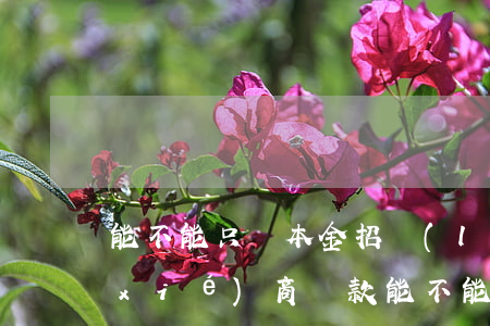 能不能只還本金(招聯(lián)金融協(xié)商還款能不能只還本金)