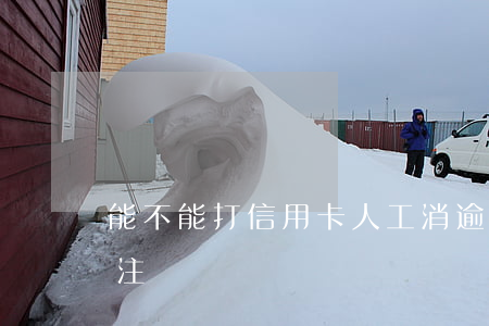 能不能打信用卡人工消逾期(信用卡可以人工注銷嗎)