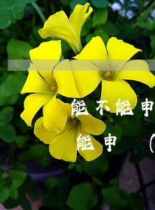 能不能申請(qǐng)延期還款(車貸能不能申請(qǐng)延期還款)