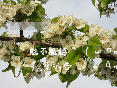 能不能起訴網(wǎng)貸平臺(tái)(可以告網(wǎng)貸嗎)