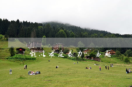 能以家庭暴力為由起訴離婚嗎