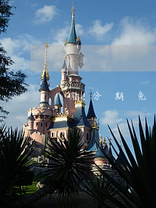 能分期免息-分期免息怎么操作