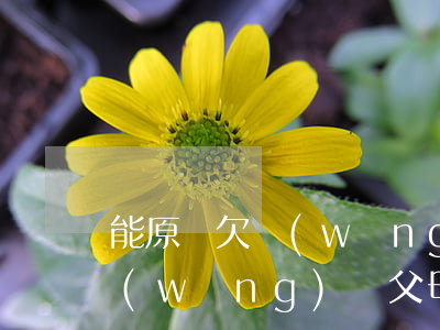 能原諒欠網(wǎng)貸的男朋友嗎(欠網(wǎng)貸父母能原諒自己的孩子嗎)