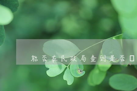 能否在民政局查到是否離婚