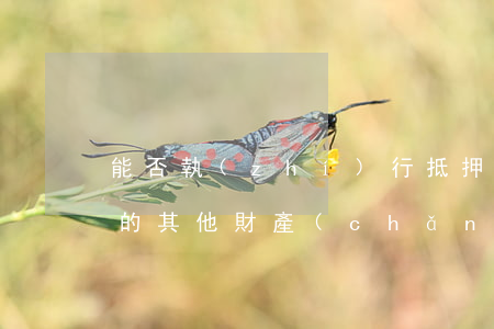 能否執(zhí)行抵押擔(dān)保人的其他財產(chǎn)