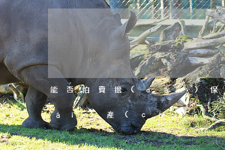 能否拍賣擔(dān)保人夫妻共同財(cái)產(chǎn)