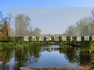 能否起訴信用卡逾期(欠信用卡的錢起訴程序)