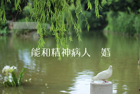 能和精神病人離婚嗎