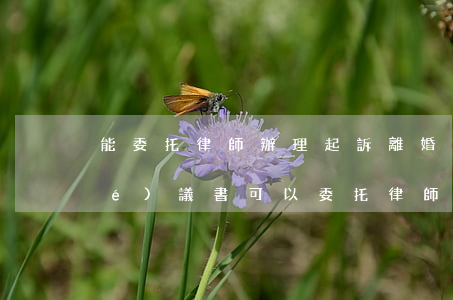 能委托律師辦理起訴離婚么(有離婚協(xié)議書可以委托律師辦理離婚嗎)