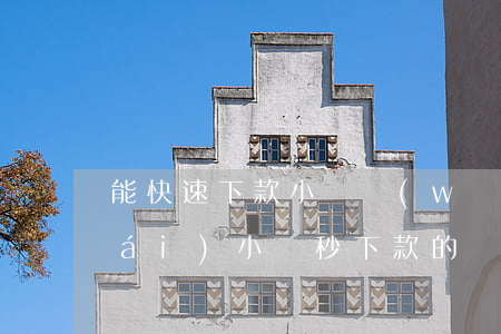 能快速下款小額網(wǎng)貸平臺(tái)(小額秒下款的網(wǎng)貸app)