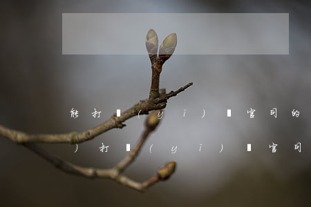 能打醫(yī)療官司的律師(找專業(yè)打醫(yī)療官司的律師)