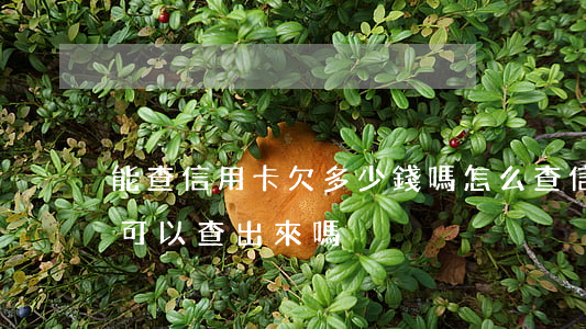 能查信用卡欠多少錢嗎 怎么查信用卡欠多少可以查出來嗎?