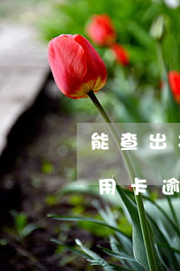 能查出其他銀行信用卡逾期嗎(能查到別人信用卡逾期情況嗎)