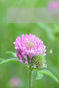 能查房貸逾期的具體時間(怎么查房貸有沒有逾期)