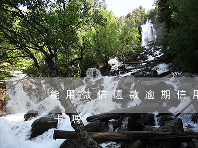 能用微信還款逾期信用卡嗎(微信錢能還信用卡嗎)