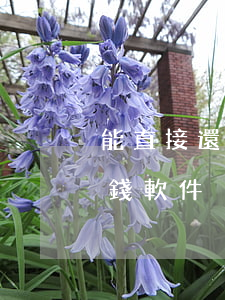 能直接還款的紅色有錢花app-紅色的借錢軟件
