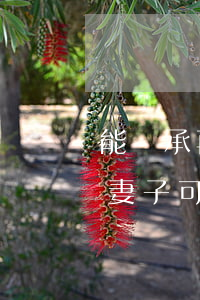 能繼承再婚老公遺產(chǎn)嗎(再婚的妻子可以繼承丈夫的遺產(chǎn)嗎)