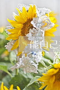 能自己打電話和信用卡協(xié)商還款嗎-能自己打電話和信用卡協(xié)商還款嗎