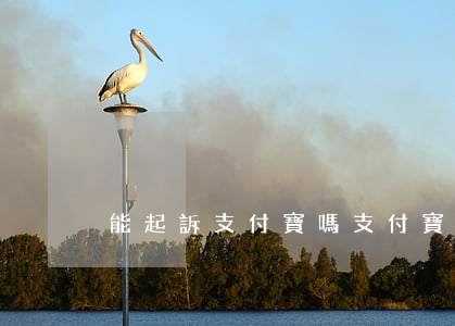 能起訴支付寶嗎(支付寶起訴后果)