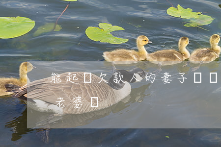 能起訴欠款人的妻子嗎(對方欠錢可以起訴他老婆嗎)