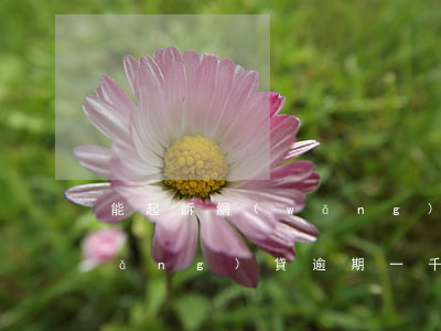 能起訴網(wǎng)貸逾期費用高(網(wǎng)貸逾期一千多會起訴嗎)