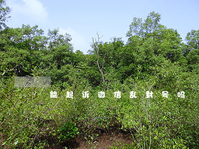 能起诉微信乱封号吗