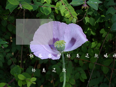 能跟银行协商还款吗(什么情况下可以和银行协商还款)