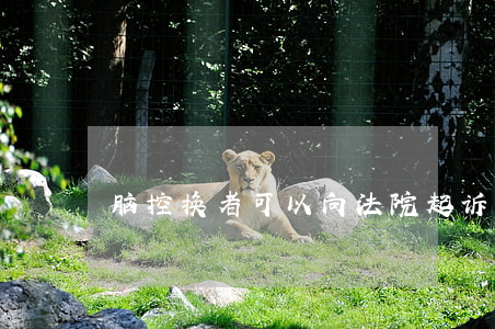 脑控换者可以向法院起诉吗