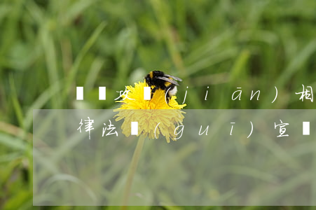 脫貧攻堅(jiān)相關(guān)法律法規(guī)宣傳活動(dòng)(精準(zhǔn)扶貧為什么需要加強(qiáng)法治宣傳教育)