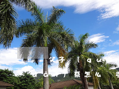 脫離父子關(guān)系(脫離父子關(guān)系怎么辦手續(xù))