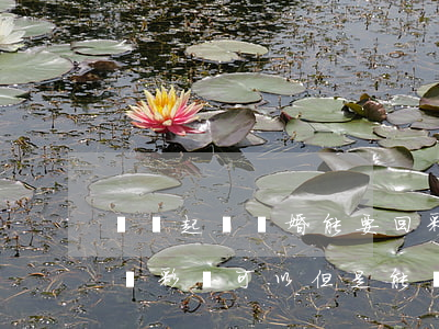 腎虧起訴離婚能要回彩禮嗎(男方起訴離婚退還彩禮可以,但是能補償嗎)