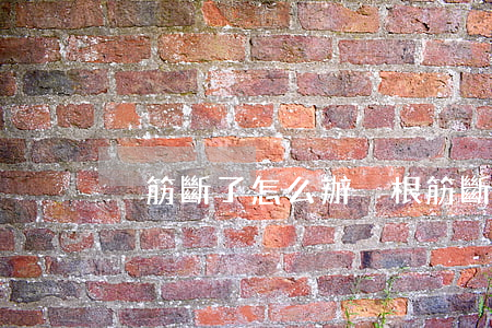 腳筋斷了怎么辦(腳根筋斷了怎么辦)