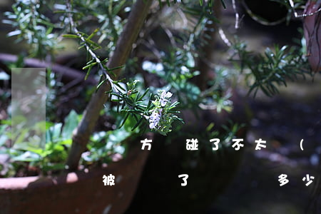 腳讓對方車碰了不太嚴(yán)重怎么賠償(被車壓了腳賠償多少合適)